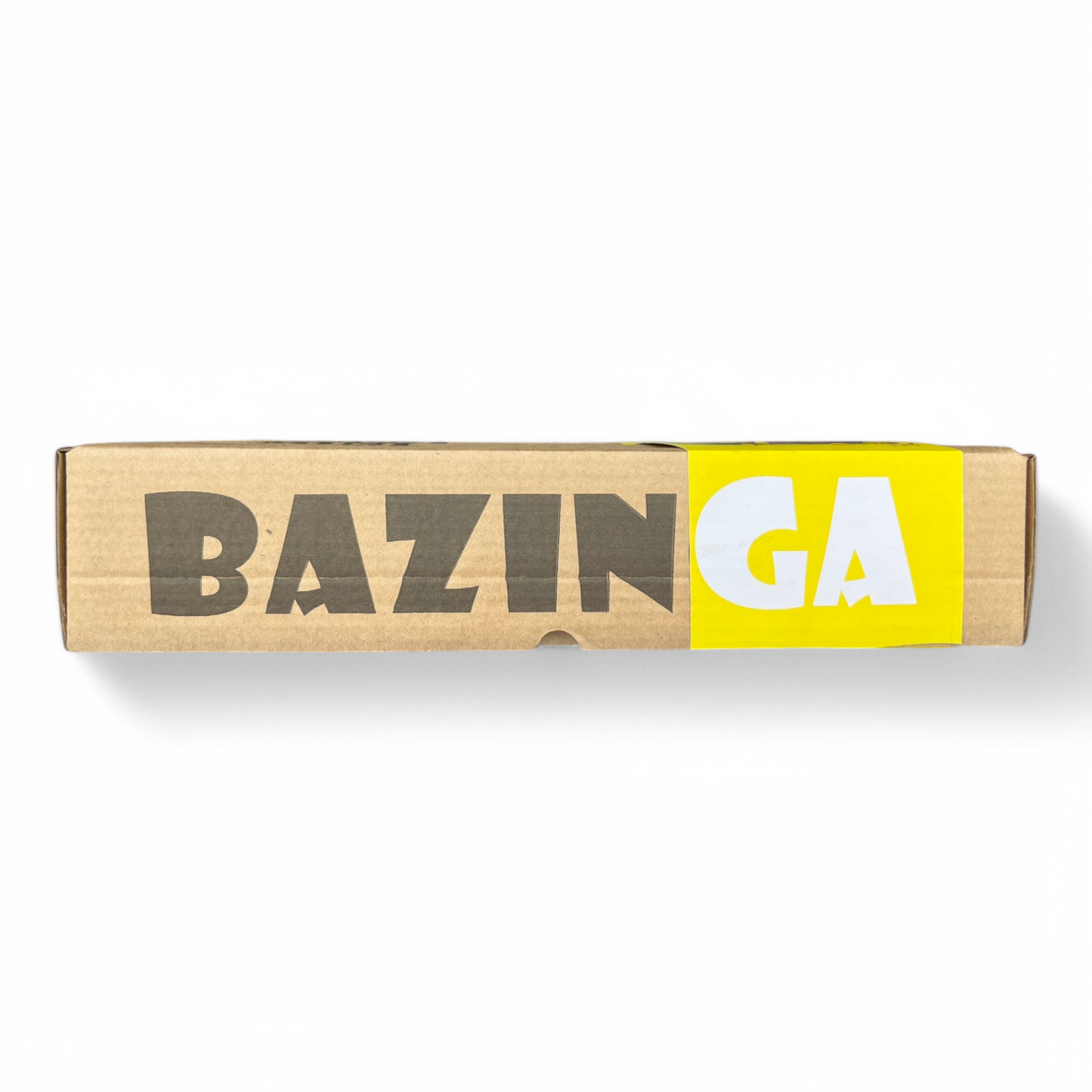 BAZINGA PERSONAL MINI TEACHER | MATH MASTER