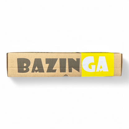 BAZINGA PERSONAL MINI TEACHER | MATH MASTER